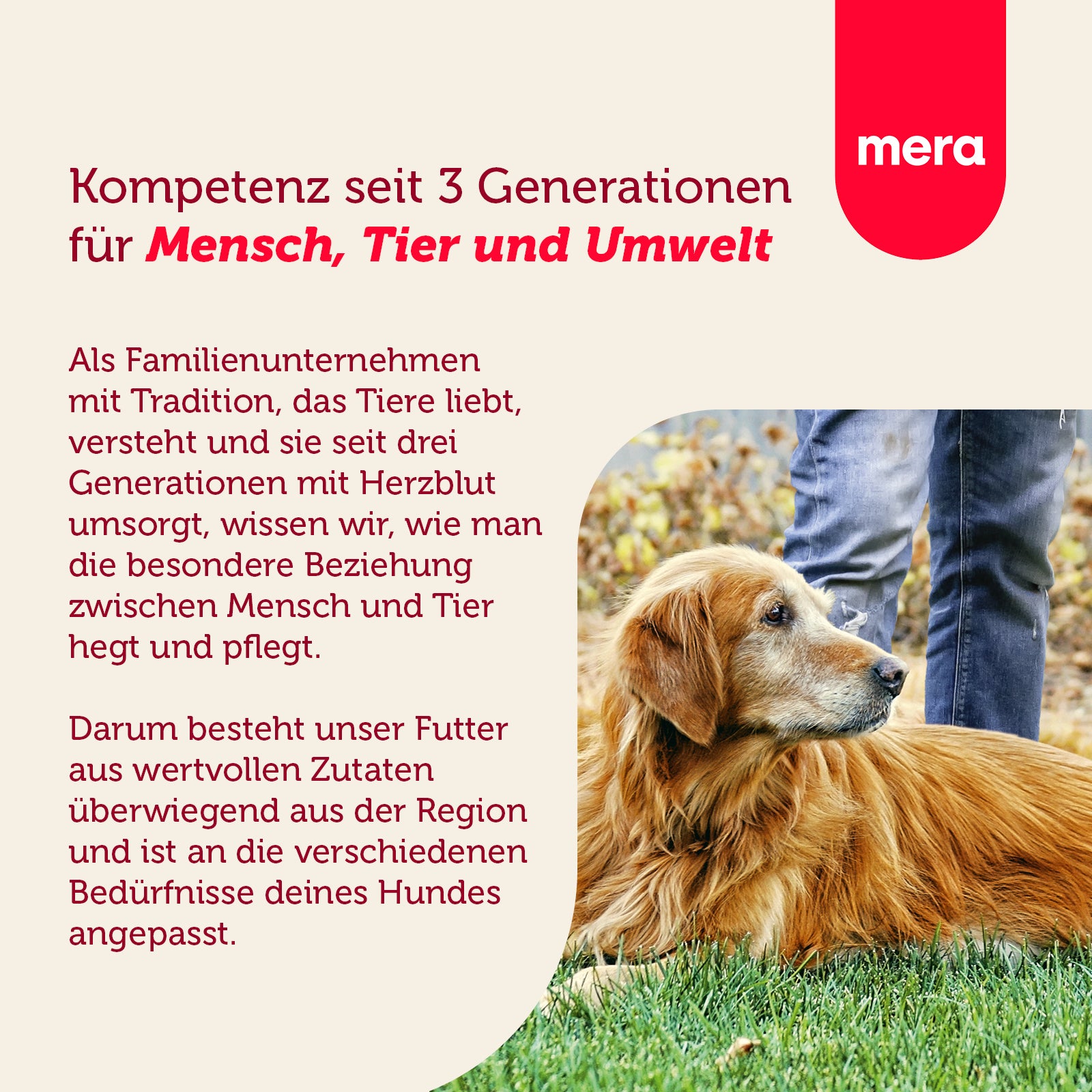 mera essential Senior Unternehmensvision