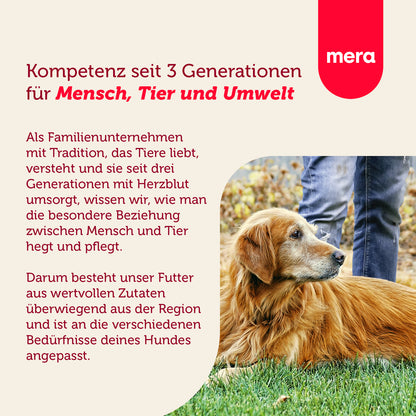 mera essential Senior Unternehmensvision